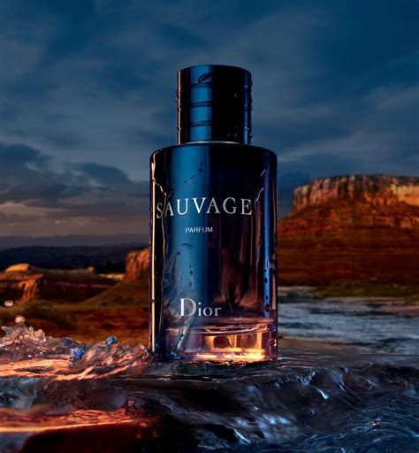 how much is sauvage dior perfume|dior sauvage cheapest price.